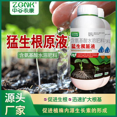 猛生根原液快速生根液