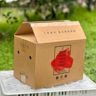 最忆小橘大雅柑