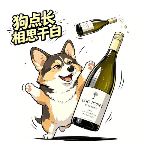 WA95分WE92分超高分长相思干白
