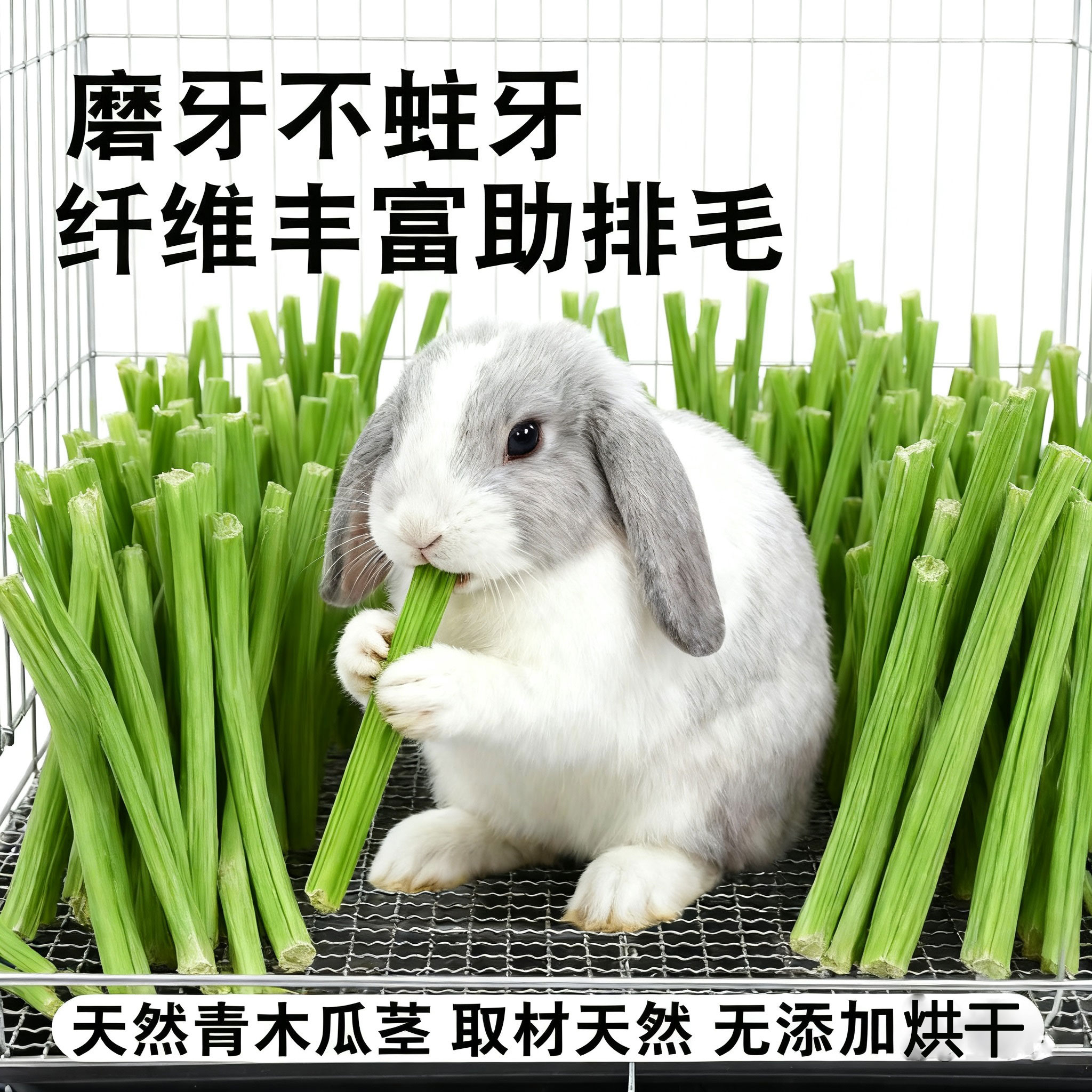 天然烘干木瓜茎宠物零食磨牙助消化兔子仓鼠龙猫荷兰猪饲料食物