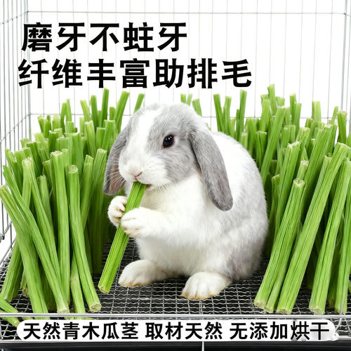 天然烘干木瓜茎宠物零食磨牙