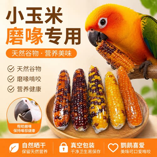 鹦鹉磨喙小玉米谷物零食棒虎皮牡丹玄凤啃咬粮玩具用训练奖励专用
