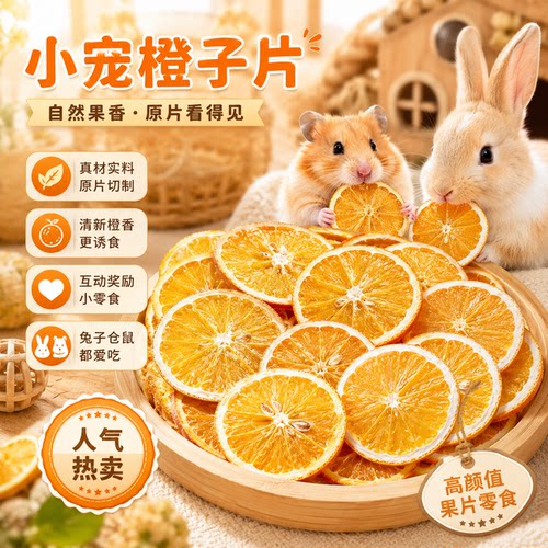 天然烘干橙子片小宠磨牙零食