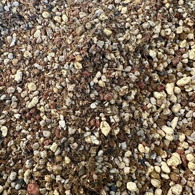 多肉植物专用景天法师水泡生石花肉锥仙女杯十二卷私人订制营养土