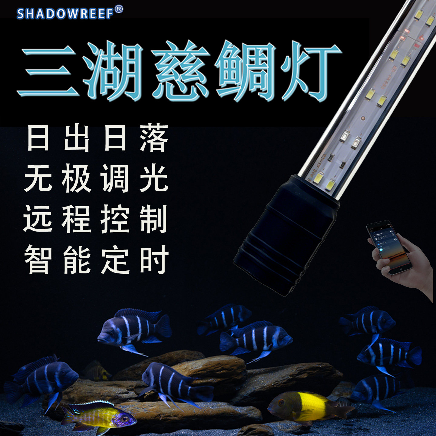 幽影三湖灯三湖慈鲷专用灯萨伊蓝马鲷蝴蝶龙王岩栖增艳蓝白防水灯