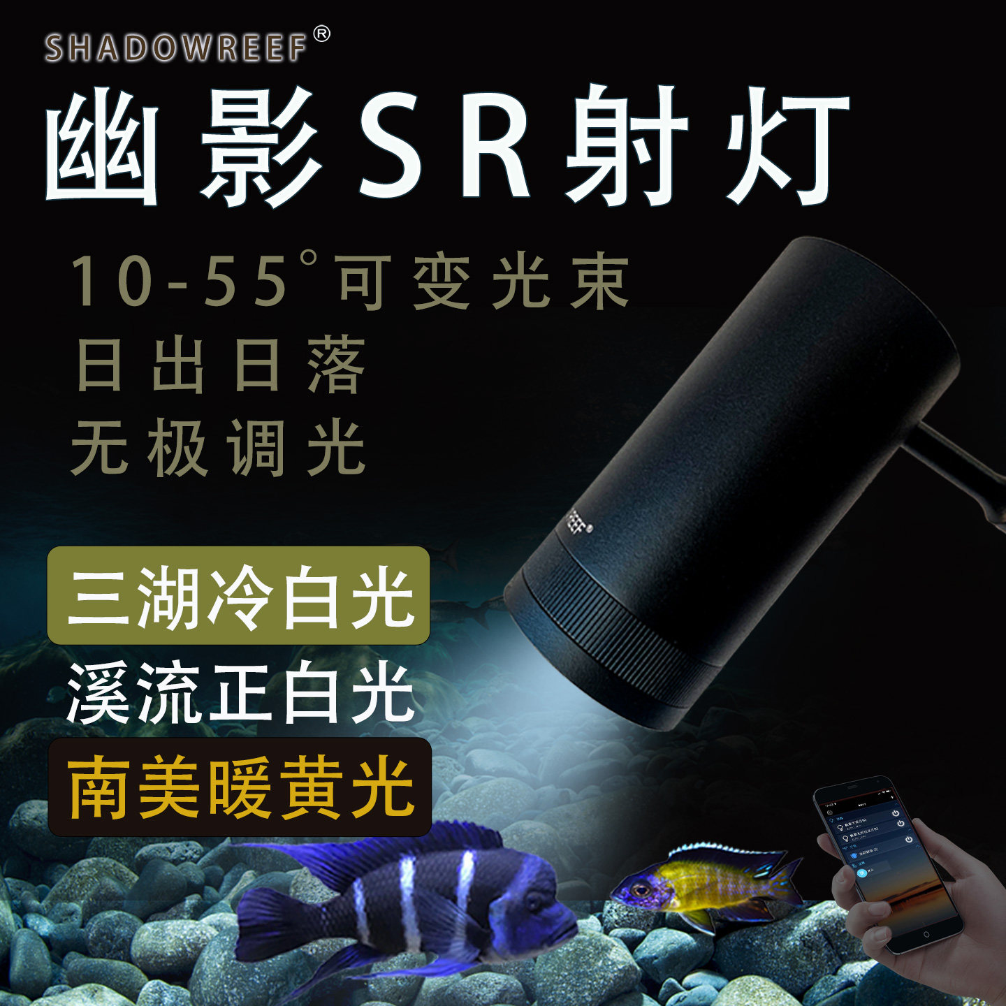 三湖慈鲷南美射灯调光日出日落