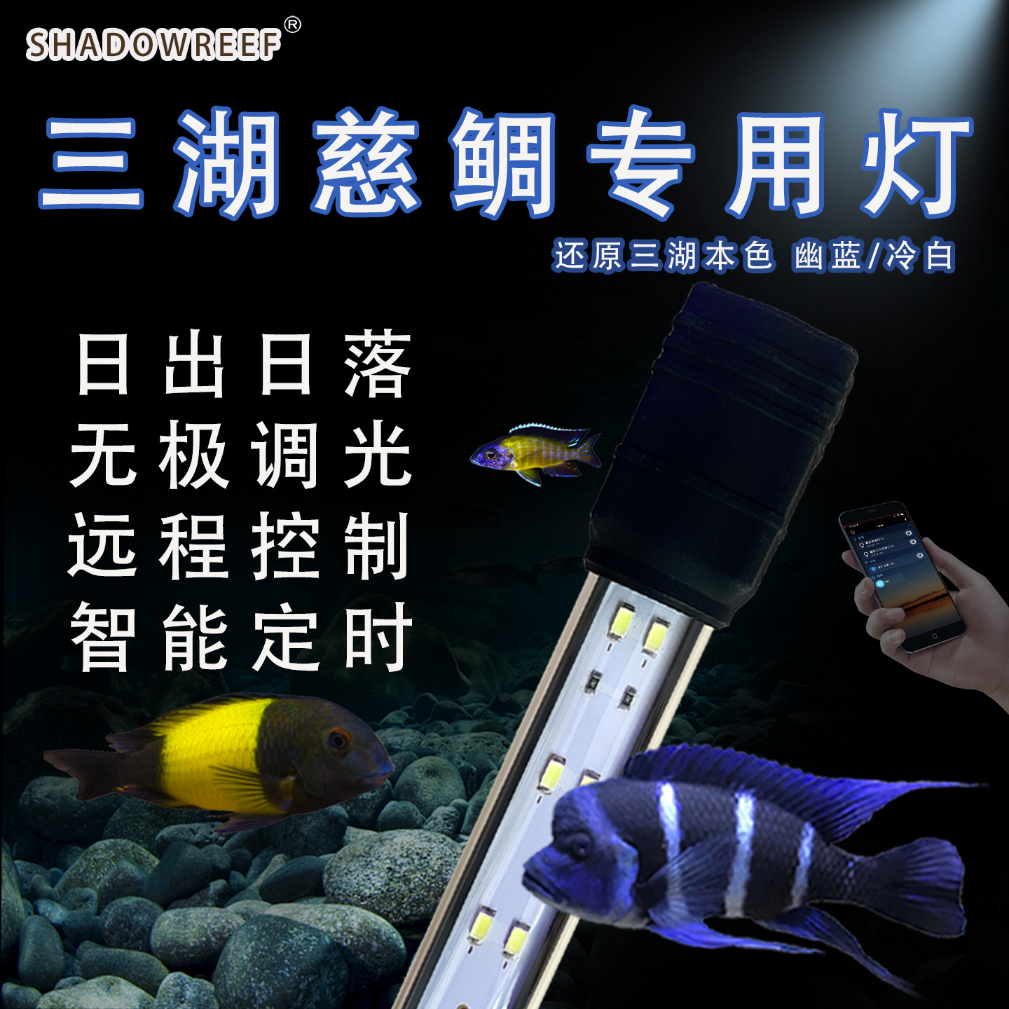 幽影三湖慈鲷专用灯萨伊鱼缸灯