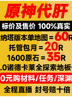 原神代肝代打代练带肝干全地图满探索度纳塔刷元神瞳深渊幽境危战
