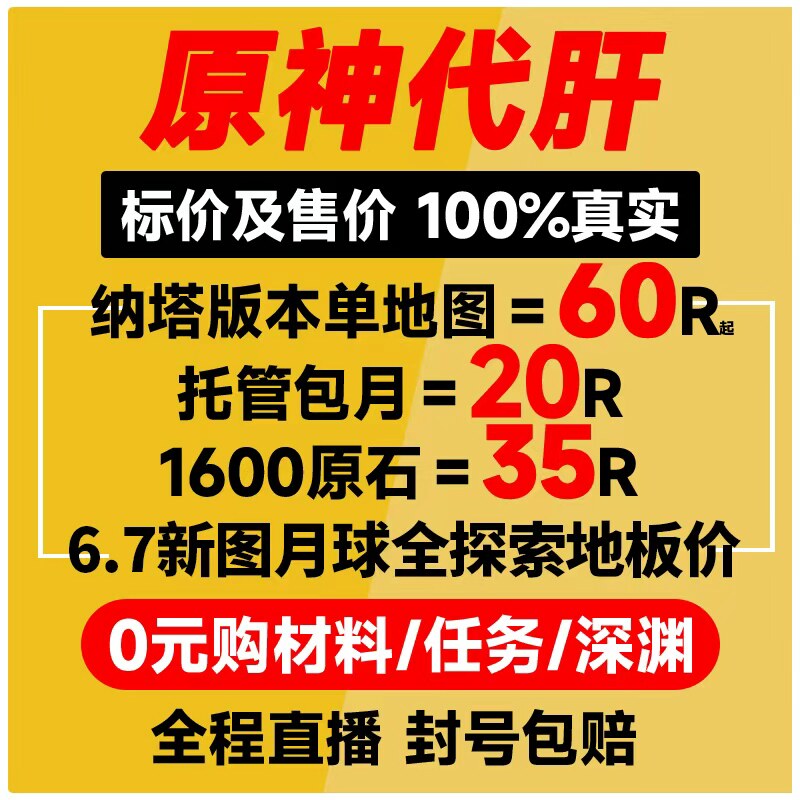 原神代肝代打代练带肝干全地图满探索度纳塔刷元神瞳深渊幽境危战 - 实物图