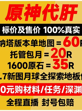原神代肝代打代练带肝干全地图满探索度纳塔刷元神瞳深渊幽境危战