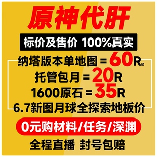 原神代肝代打代练带肝干全地图满探索度纳塔刷元神瞳深渊幽境危战