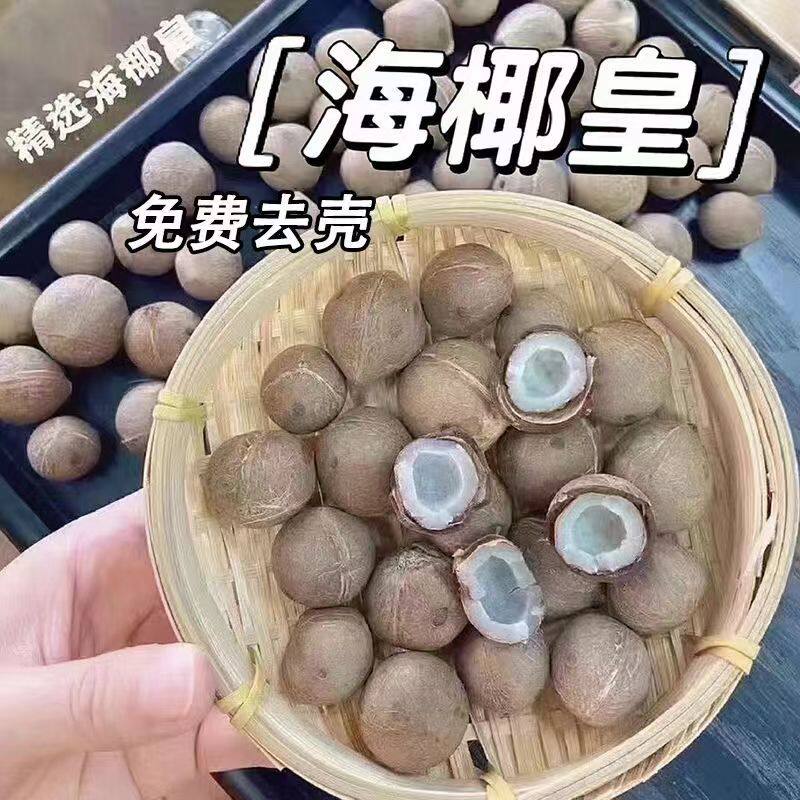 海椰皇印度小椰子新鲜去壳海南超小老椰青迷你版椰子鸡高档煲汤料