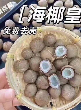 海椰皇印度小椰子新鲜去壳海南超小老椰青迷你版椰子鸡高档煲汤料