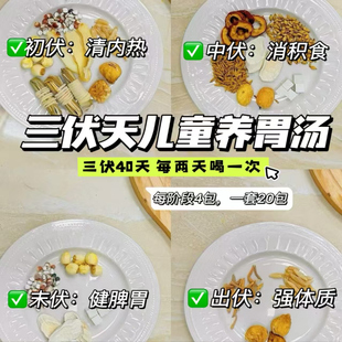 三伏天儿童养脾胃汤料包 初伏中伏末伏营养成长汤 养脾化湿清心