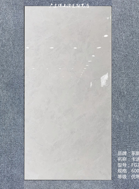东鹏瓷砖600X1200亮光CFG271710 271714 271717 271500 271522/10