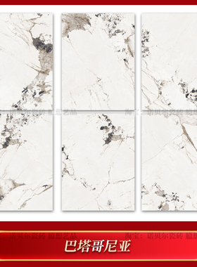 诺贝尔瓷砖巴塔哥尼亚HA1612027Y岩板1600x1200mm唐古拉 青海晨雾