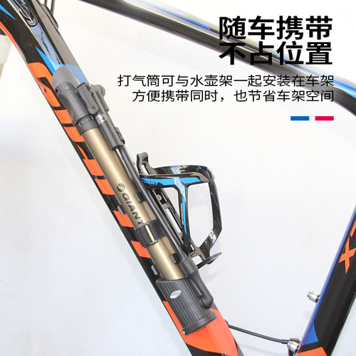 捷安特山地公路自行车美法打气筒