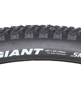 正品捷安特26X1.95山地车外胎ATX700/720/770/777自行车内胎轮胎