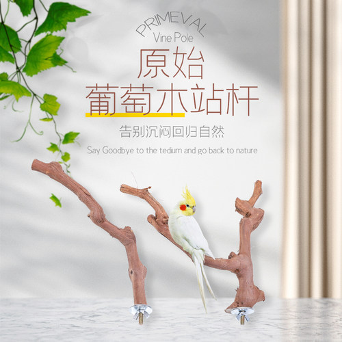 葡萄藤站杆玄凤鹦鹉站架玩具