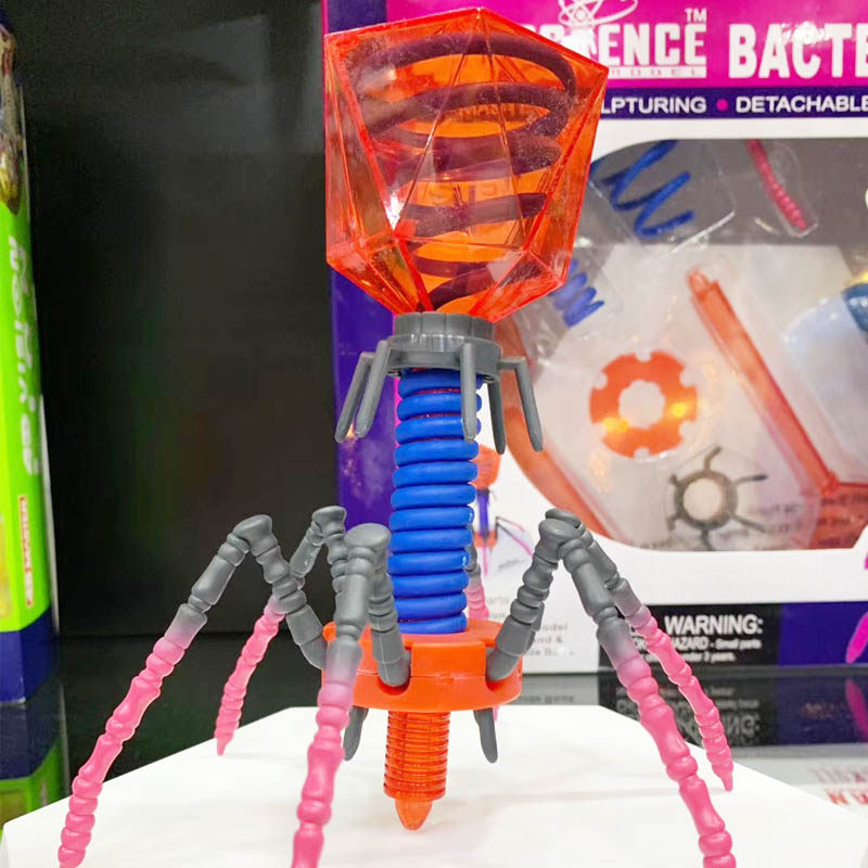 4D 마스터 바이러스 파지 의료 해부학 모델 줄기 생물학 교육 교육 조립 장난감