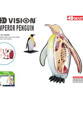 4D MASTER帝企鹅内脏器官骨骼解剖模型动物教学拼装摆件4dmaster