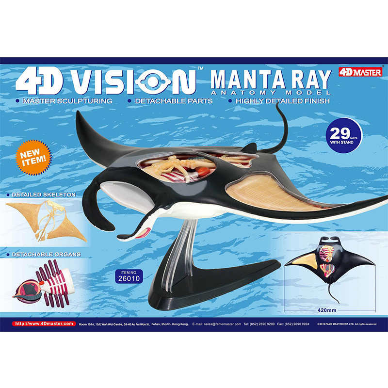 艺术家拼装玩具魔鬼鱼4DMASTER