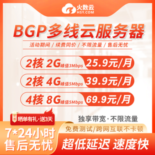 北京BGP多线云服务器主机电商独享大带宽服务器租用虚拟云主机