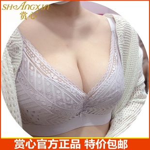 防下垂收副乳聚拢调整型文胸 赏心新品 3206内衣女大胸显小缩胸薄款