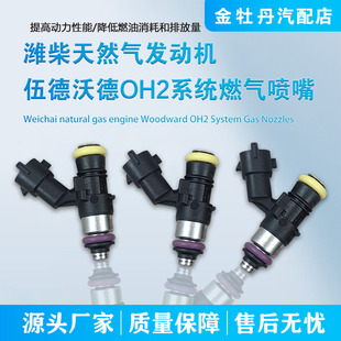 OH2伍德沃德博士燃气喷嘴 OH2博士系统 LNG天然气发动机喷射阀