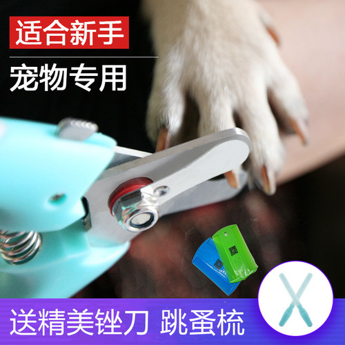 派克瑞金毛泰迪猫犬通用包邮狗狗