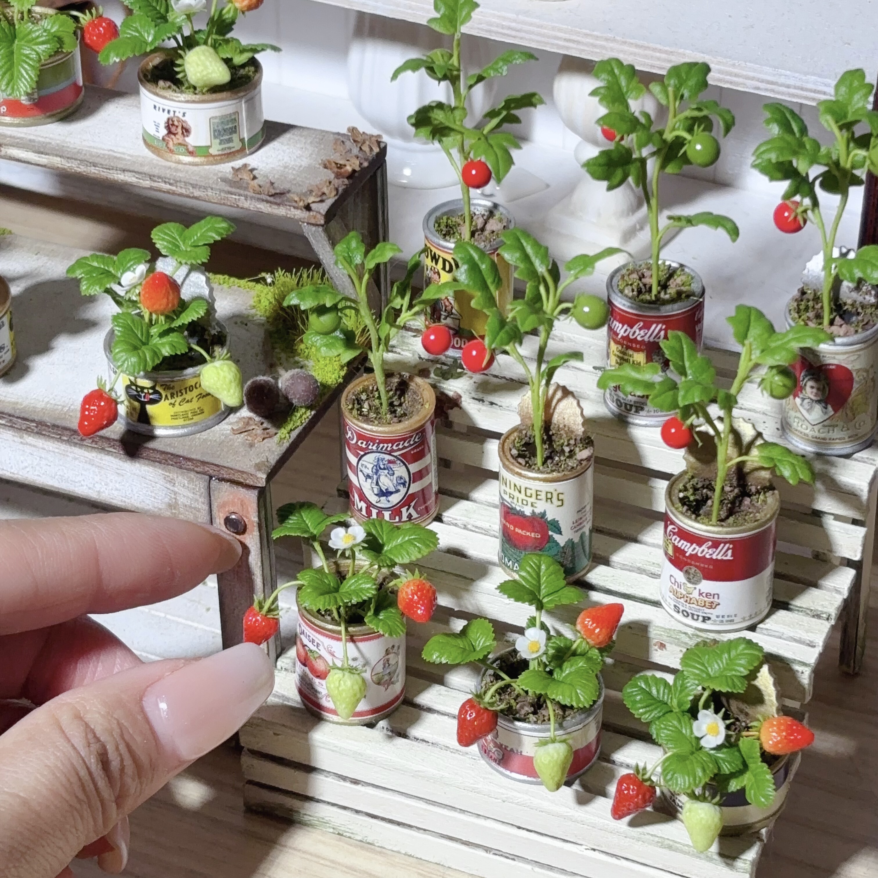 迷你仿真微缩番茄草莓盆栽模型摆件微缩食玩bjd娃屋场景拍摄道具