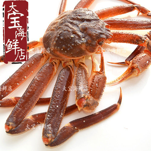 鲜活海蟹大螃蟹日本料理长脚蟹