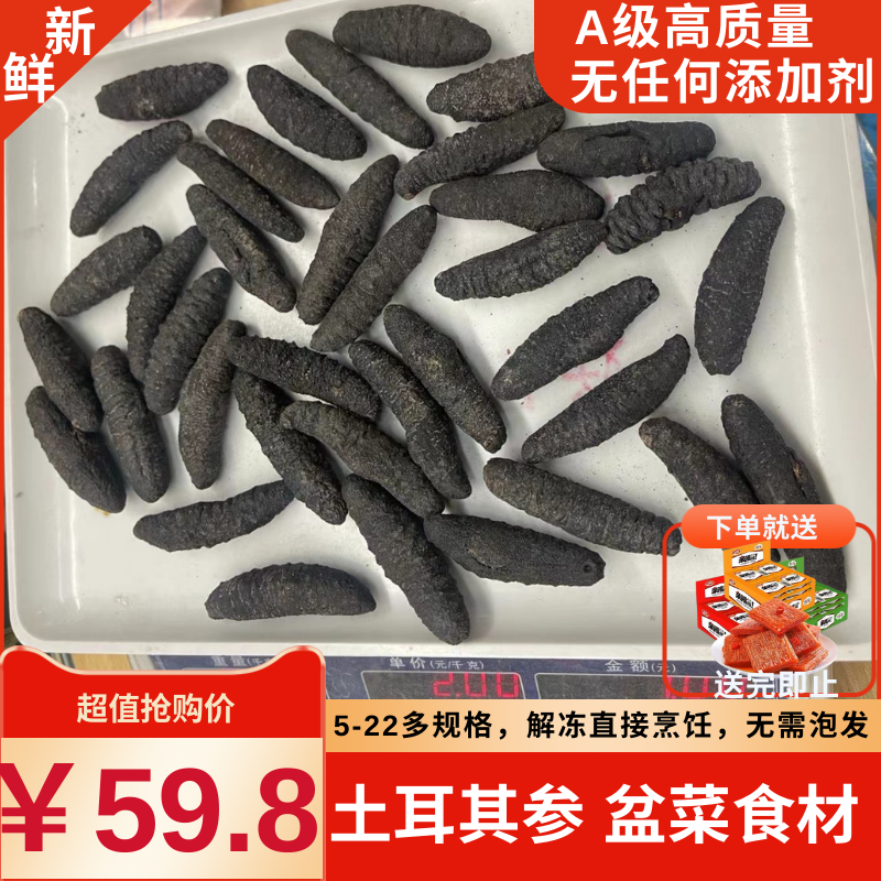 土耳其参冷冻即食海参野生大乌参白球参盆菜干货水发大连土耳其参