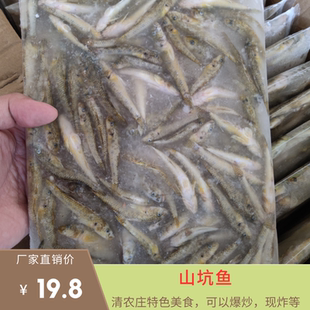 淡水小河鱼 山坑鱼 新鲜冷冻食用山溪食用饲料鱼淡水鱼急冻小杂鱼
