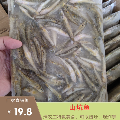 淡水鱼新鲜冷冻鲜美肉嫩个大均匀