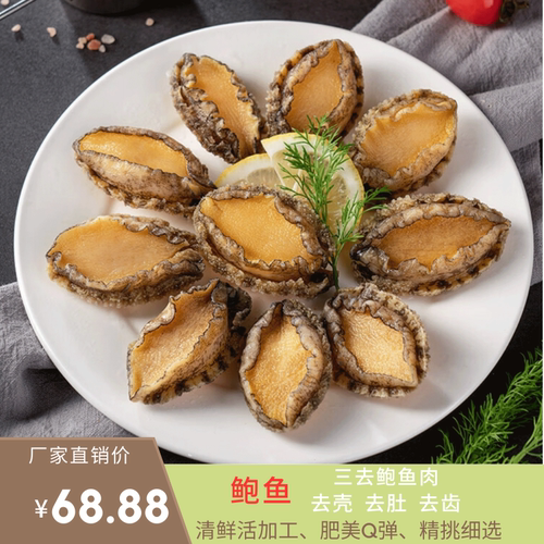 福建鲍鲍鱼商用酒店宴席鲍鱼花椒