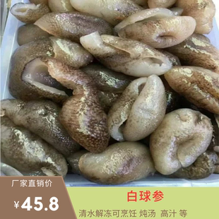 珍珠球参 球参海参乌元参水发参野生水发海参商用500克酒店食材