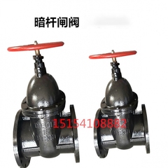 Z45T-10/16铜芯铜杆契式闸阀铸铁法兰暗杆闸阀HT DN65 80 100 200