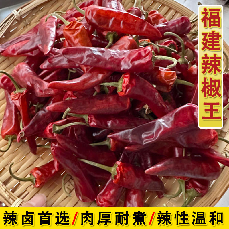 福建辣椒王特辣特香干辣椒炖煮