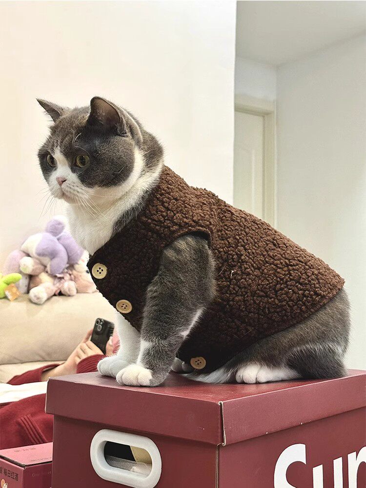 宠物猫咪衣服可爱加绒加厚保暖布偶英短蓝猫羊羔毛狗狗背心秋冬款