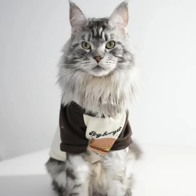 猫咪衣服秋冬汉堡卫衣布偶猫德文猫蓝猫宠物猫咪保暖防掉毛两脚衣