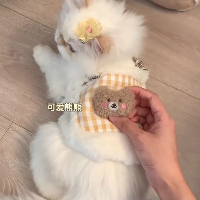 猫咪衣服秋冬季保暖防掉毛布偶小猫蓝猫英短宠物可爱卡通小熊背心