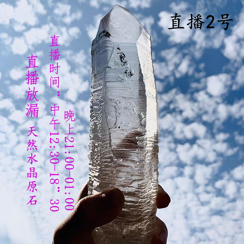 骸骨素材模板 骸骨图片下载 小麦优选