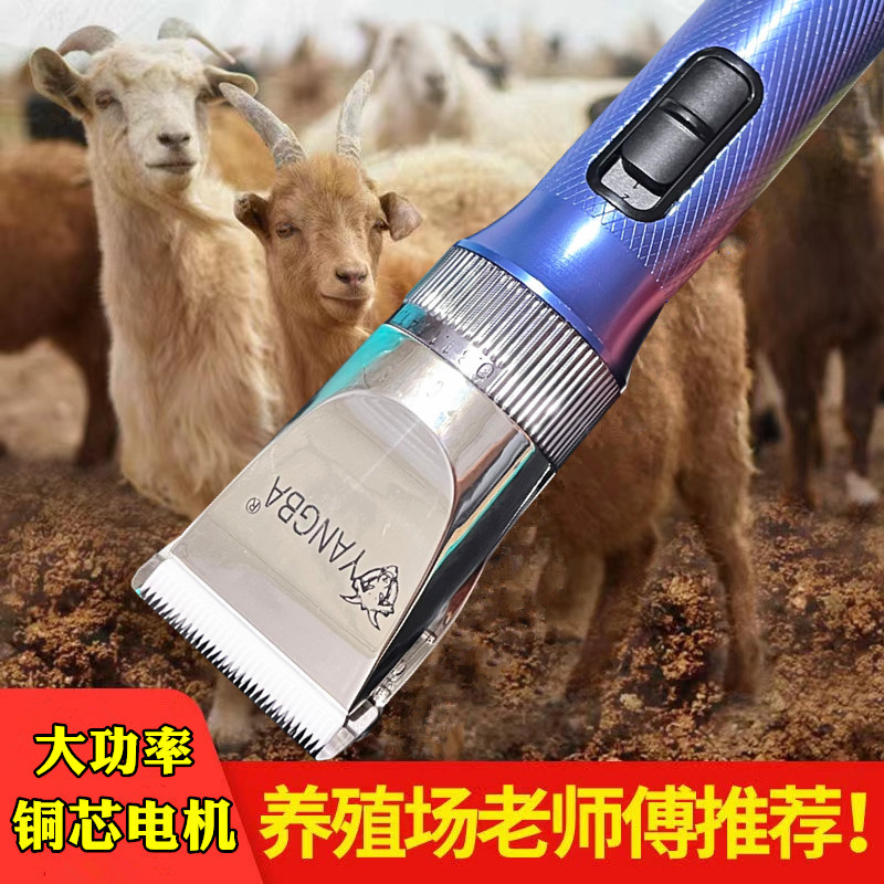 羊霸大功率36V绒山羊绵羊电推剪