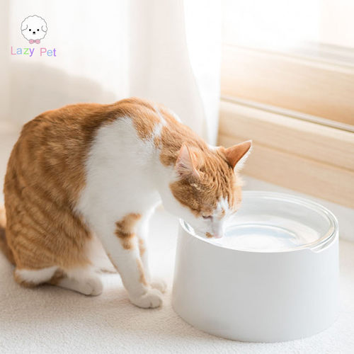 p21韩国宠物餐具猫狗护颈水碗