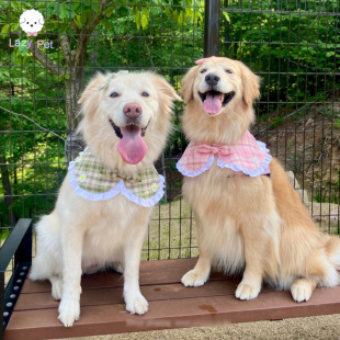 「Lazy DearPuppy宠物猫狗雏菊蕾丝花边披肩围脖 Pet」韩国代购