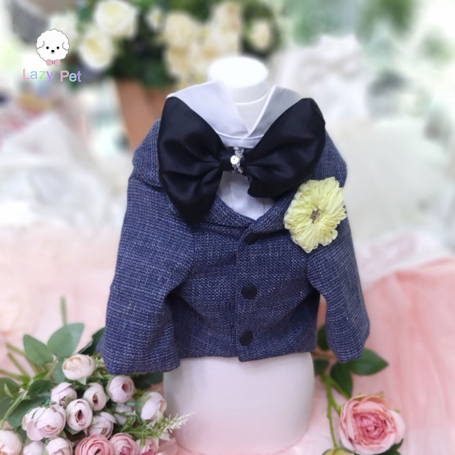 韩代宠物婚礼燕尾服礼服西装外套