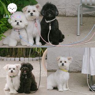 「Lazy vvtt宠物狗狗手工皮革舒适双面项圈牵引绳 Pet」韩国代购