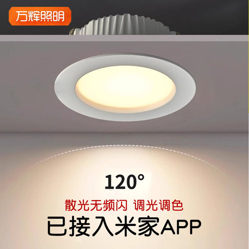 米家APP无主灯小智能支持苹果