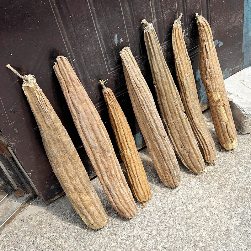 整根天然老丝瓜络烙煮水喝干丝瓜囊藤瓤筋带皮洗碗中药材